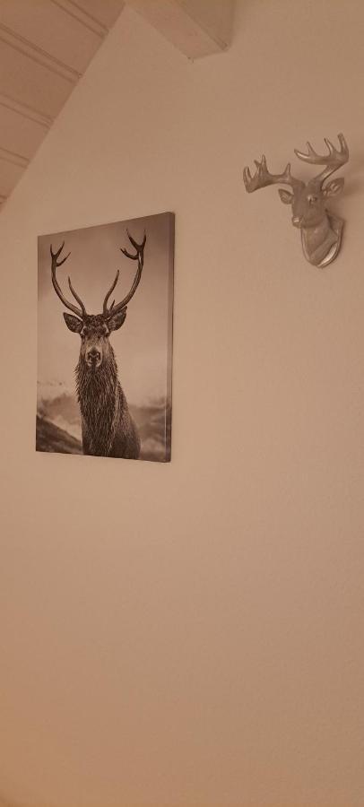 B&B Talstation Horselberg-Hainich Екстер'єр фото