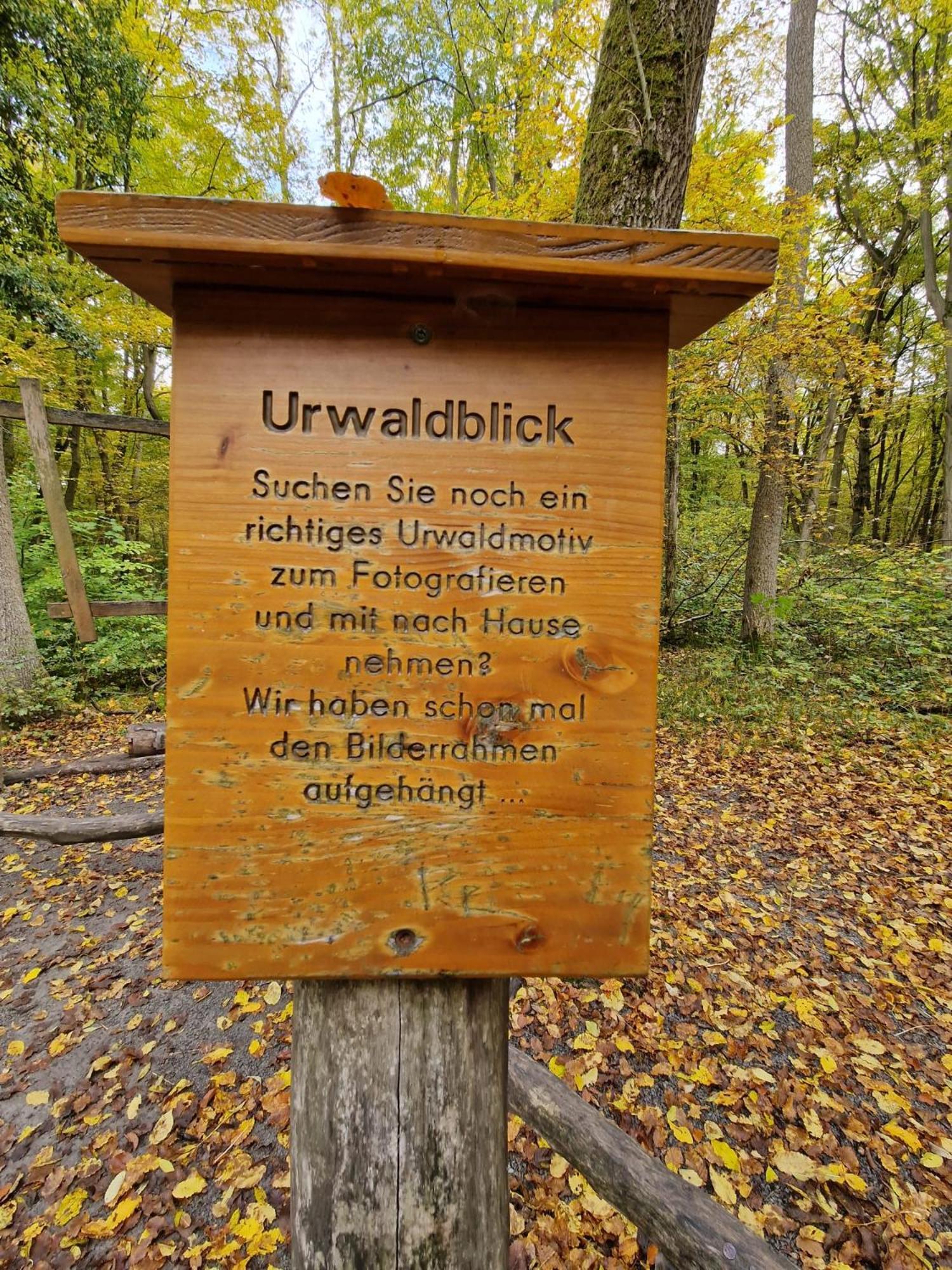 B&B Talstation Horselberg-Hainich Екстер'єр фото